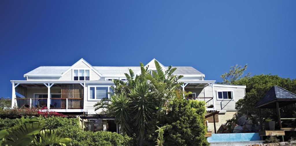 African Violet Guest Suites Noordhoek Dış mekan fotoğraf