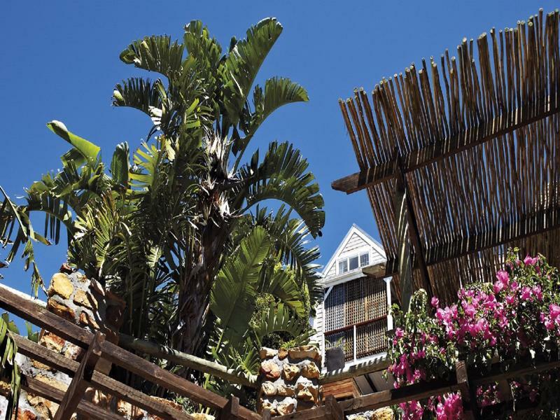 African Violet Guest Suites Noordhoek Dış mekan fotoğraf