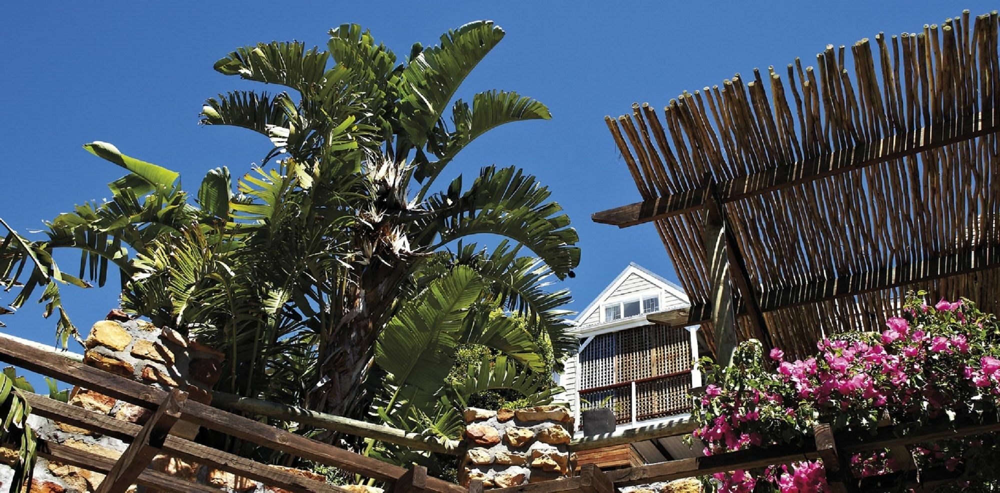 African Violet Guest Suites Noordhoek Dış mekan fotoğraf