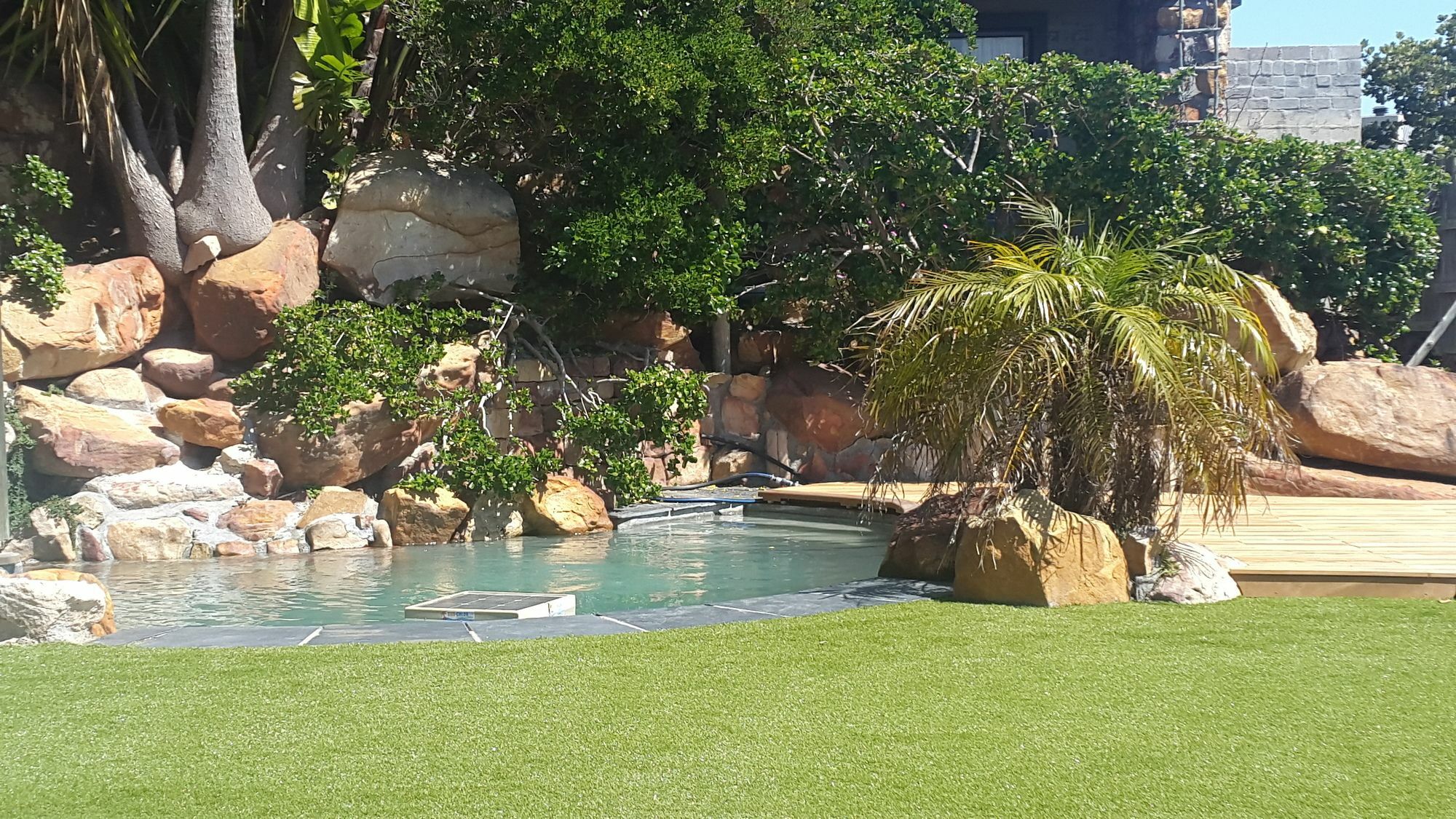 African Violet Guest Suites Noordhoek Dış mekan fotoğraf