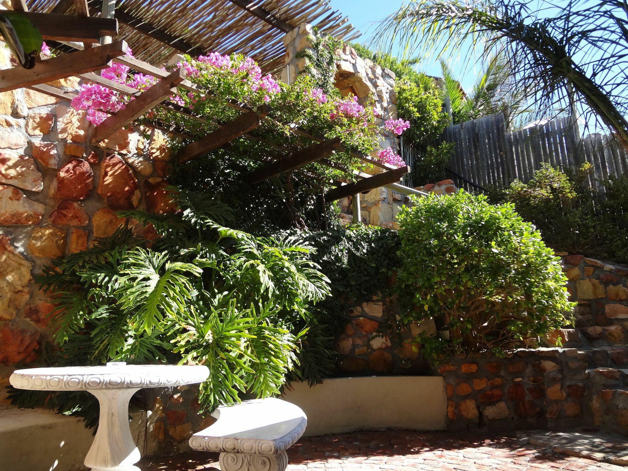 African Violet Guest Suites Noordhoek Dış mekan fotoğraf