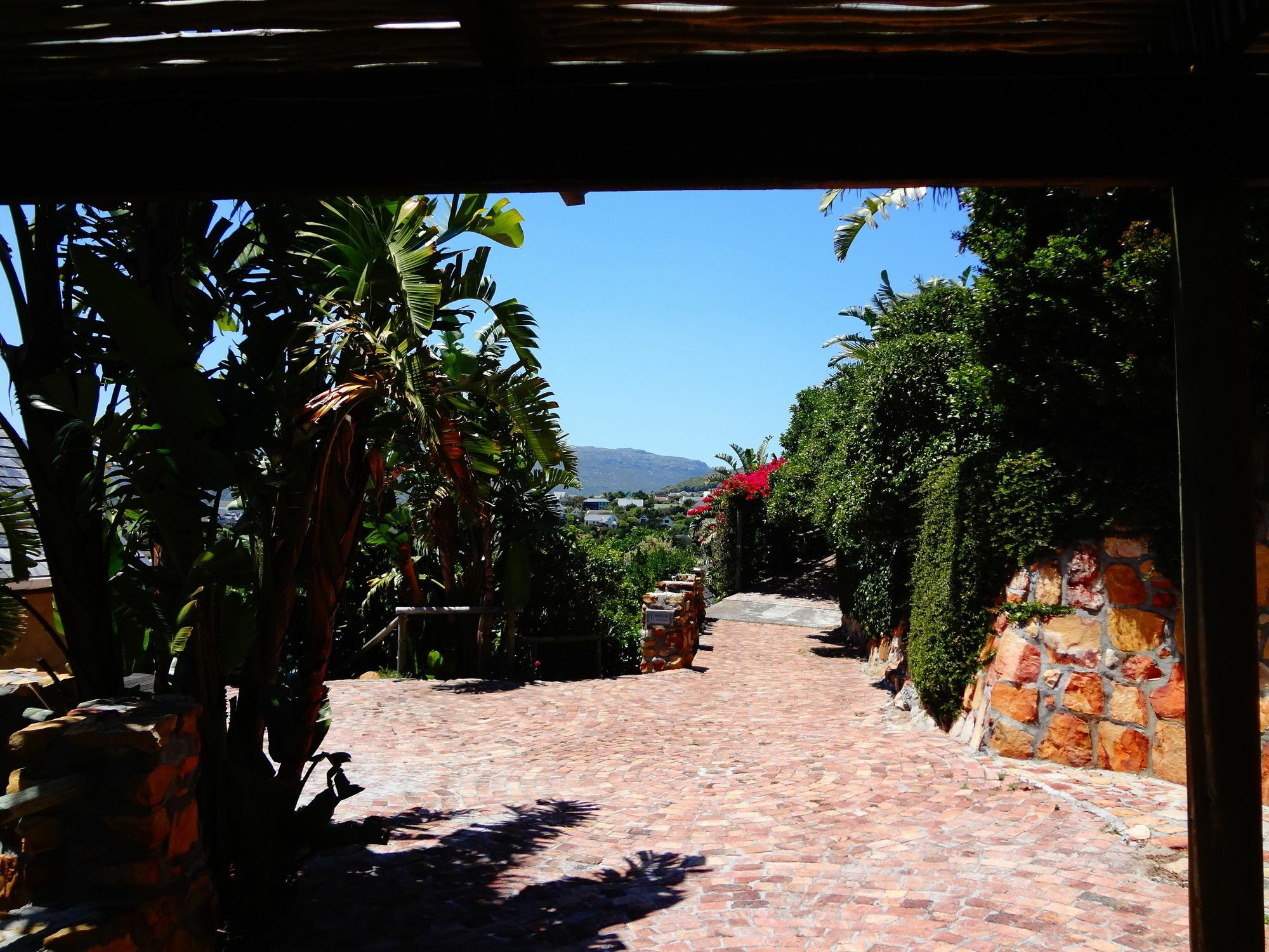 African Violet Guest Suites Noordhoek Dış mekan fotoğraf