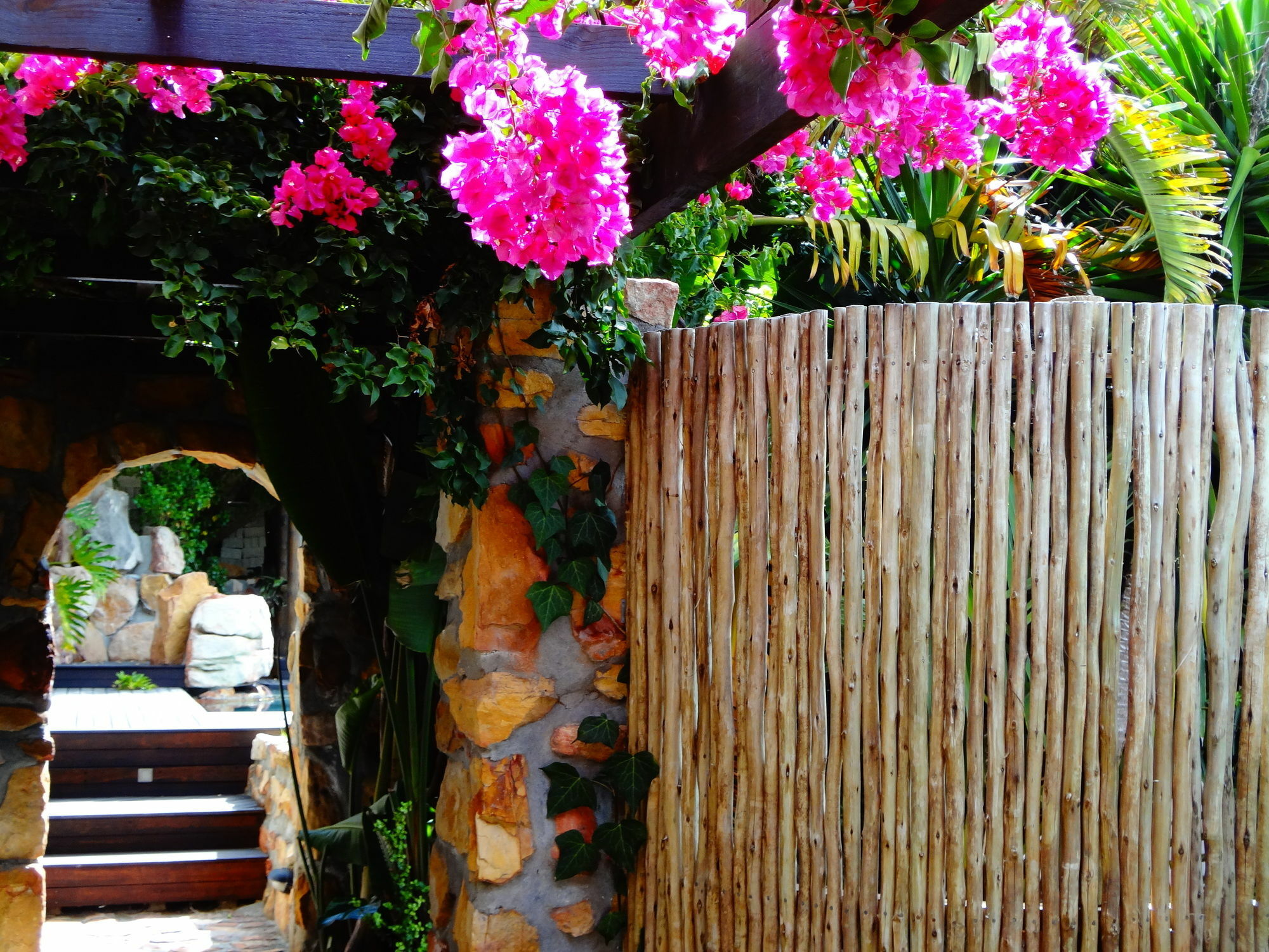 African Violet Guest Suites Noordhoek Dış mekan fotoğraf